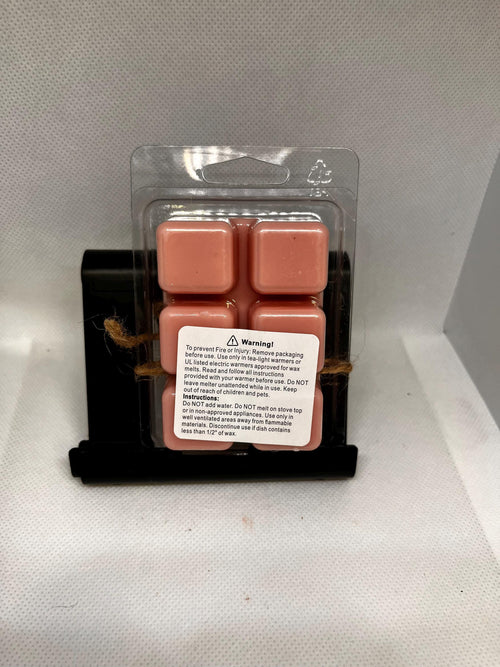 Apple cinnamon scented, 3oz Wax melt, homemade, gift giving, fall scent
