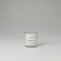 pineapple kiwi scented 4oz soy wax candle
