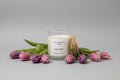 Tulip fields scented 4oz soy wax candle